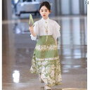 ロングスカート プリーツ セットアップ 緑 中国風 衣装 漢服 豪華柄 着物風 春夏 キッズ 女の子 ステージ 舞台 舞踊 演劇 式典 伝統 華やか 爽やか クラシック