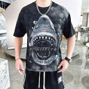 メンズ セットアップ 紳士服 サマーウェア 2点セット シャツ Tシャツ 半袖 ショートパンツ 夏 スポーツ ファッション カジュアル 通気性 スポーツ アニマ...