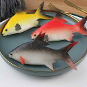 食品サンプル 食育教材 ディスプレイ 模型 見本品 シミュレーション フェイク 魚類 シーフード 海洋生物 水族館 子供 おもちゃ ゲーム 小道具 店舗演出 コレクション
