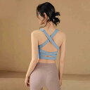 スポーツブラ フィットネスブラ エクササイズブラ 胸パッド付き 魅惑的 女性用 夏用 ギャザー 美背中 下着 エクササイズ フィットネス ヨガ ピラティス ランニング ストレッチ トレーニング