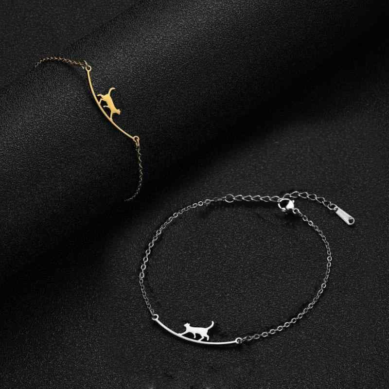 ǥ ꡼ 󥯥å ץ 奢  襤 ˡ ͥ å ڹ եå   ǥ꡼ ե