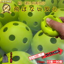 \0のつく日 P5倍 /野球 穴あきボール 72mm 練習用 軽量 柔らかい 飛ばない 割れにくい バッティング トレーニング 室内 屋外OK メッシュバッグ付...