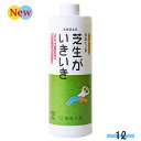 芝生がいきいき 1L 有色 環境大善 液体たい肥 ( 芝生 芝生の肥料 堆肥 液体堆肥 活力増進 発酵促進 土壌環境改善 土壌改善 天然成分 乳酸菌 発酵 促進 成長促進 )