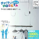 【メーカー直送】天吊 物干用 補助アーム チョイ干しHOSETA 2本入り ( ものほし 物干し 物干し竿 高さ調節 竿掛け ベランダ バルコニー 延長 公団 補助 アーム 干しやすい )