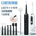 口腔洗浄器 電動歯ブラ 口内洗浄器 