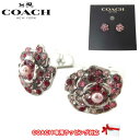 【1000円OFF 5/16 01:59迄】コーチ ピアス アクセサリー COACH スパークリング ローズ スタッド ピアス CG070 NJ5(シルバー系×ピンク系マルチ) レディース 【メール便対応(ネコポス)】