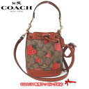 【10%OFF 4/21 09:59迄】コーチ バッグ ショルダーバッグ COACH シグネチャー ワイルド ストロベリー プリント ミニ デンプシー バケットバッグ 2WAY 斜め掛け CH164 IME7V(カーキ×マルチカラー) アウトレット レディース 送料無料