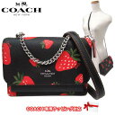 【1000円OFF 5/16 01:59迄】コーチ バッグ ショルダーバッグ COACH ワイルド ストロベリー ミニ クレア クロスボディ チェーンショルダー 斜めがけ ミニバッグ CH353 SVA47(ブラック×マルチカラー) アウトレット レディース 送料無料