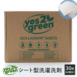 yes2green イエス トゥ グリーン ECOランドリーシート洗濯洗剤 シート型 サステナブル エコ 柔軟剤 旅行30枚 60回分入 4560266431537