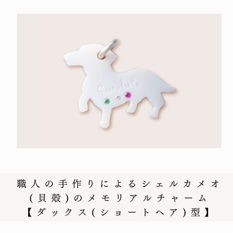 【VIRGO ペット遺骨メモリアルチャーム（シェルカメオ製）-ダックス（ショートヘア）- 】【送料無料】／ペット 遺骨 アクセサリー ジュエリー リング 手元供養 オシャレ ペット