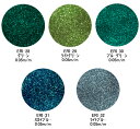 【メール便OK!】【ラメパウダー】【ERIKO*NAIL】エリコネイルジュエリーコレクション(ERI-28-32)2P23oct10