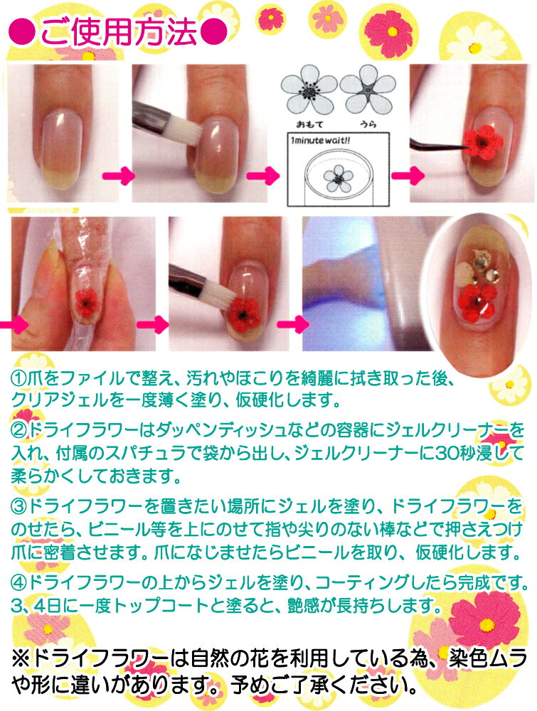 �ͥ��륢���� �ɥ饤�ե���������ͥ���䥹����ץ��奢�ˤ����OK�� ��3���ڥ᡼����4�Ĥޤ�OK��(GA-33-35)��cosme0603�ۡ�koshin0601��po��koshin0601��sa