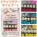 ドライフラワーネイル ネイルパーツアートコレクション ネイルアートジェルネイルやスカルプチュアにも使用OK! 全4色【メール便OK】(GA-212-215)