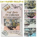 シャーベットカラーネイル 【ネイルパーツアート】プロの技が自分で出来る!簡単!セルフネイルセット 全5種類【メール便OK!!】(GA-220-224)