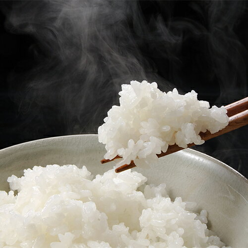 ◇新潟県産特別栽培米コシヒカリ2.5kg(NTK-35)越後のお米 ごはん コメ お米の贈り物 食品 敬老の日