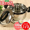 保温調理鍋 エコはかせ鍋19cm(メッシュセット付) 3L(EHN-19SET)お料理革命 ガス代1/3 経済的 博士鍋 はかせなべ 100種掲載レシピ付 ギフト