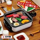 ホットプレート コンパクトグリル ちょこちょこ焼き(KS-2847) 一人用 焼肉 少人数 小さめ 消煙 煙 出ない 焼肉器 鉄板焼き 穴明きプレート 焼き肉 焼魚 海鮮 ほっけ 餅 晩酌 お正月 お盆フッ素加工 お手入れ簡単 ホワイト 新潟県・燕市【日本製】