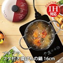 天ぷら鍋 IH対応 プチフラ フタ付き揚げ物鍋 16cm (PF-002) 適正0.6L 揚げ鍋 てんぷら鍋 蓋 ミニ 鉄製 揚げ鍋 フライヤー 揚げ直し コン...