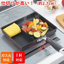 玉子焼き フライパン ネオ モーニングエッグパン (NME-02G) 仕切り 仕切り付き 角型フライパン 卵焼き ツインパン おすすめ 朝食 お弁当 ギフト【ガ...