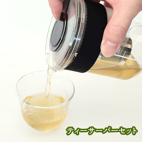 ティーサーバーセット (CF-005) 茶こし お茶 緑茶 煎茶 ほうじ茶 サーバー メジャースプーン 計量スプーン セット コンパクト 割れにくい 紅茶 ティータイム 【日本製】