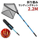 【楽天ランキング1位獲得！】220cm 玉網 タモ網 折りたたみ 伸縮 釣り 2m ランディングネッ ...