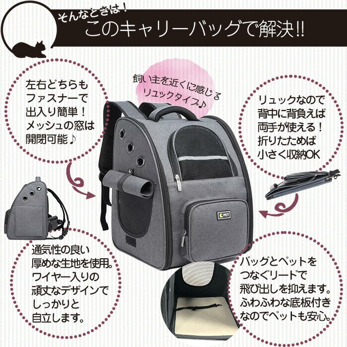 �ڥåȥ���꡼�Хå� �ڥåȥ���꡼���å� �ޤꤿ���� �ڥåȥХå� �ڥåȥ��å� �ڥå� ����꡼ �ڥåȥ���꡼ ���� ����ѥ��� ���å� �Хå� ǭ �� ���� �ͤ� ���� �ͥ� ι�� �±� �̱� �ɥ饤�� ���� �ɺ� ������� ����̵�� ###����꡼0725-###