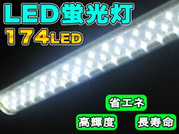 訳あり 10本セット【送料無料】###訳小12A-174/10本###