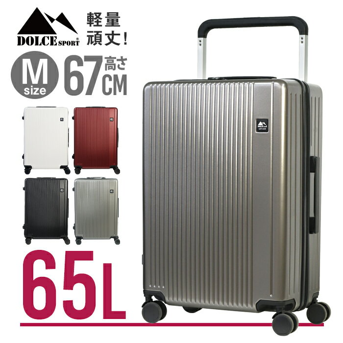 スーツケース Mサイズ 65L 大容量 4 〜 6泊 TSAロック付 キャリーバッグ キャリーケース 4輪 ダブルキャスター 超軽量 頑丈 中型送料無料 ###ケースK188-M###