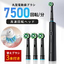 電動歯ブラシ 替えブラシ 3本付き 回転式 7500rpm 歯ブラシ 回転 歯磨き はみがき 電動はぶらし IP67防水 静音 歯磨き 歯垢除去 口臭ケア 電動 充電式 防水 静音 オーラルケア 歯ぶらし 送料無料 ###電動歯ブラシ210A-BK###(2)