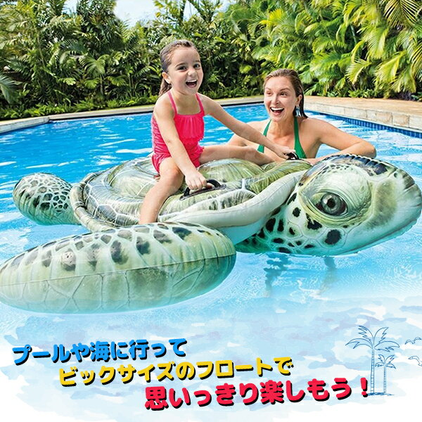 フロート 子供用 プール 海 家族 夏 旅行 浮き輪 カメ 亀 プレゼント 先取り 水に浮く【送料無料】###カメ57555###のサムネイル