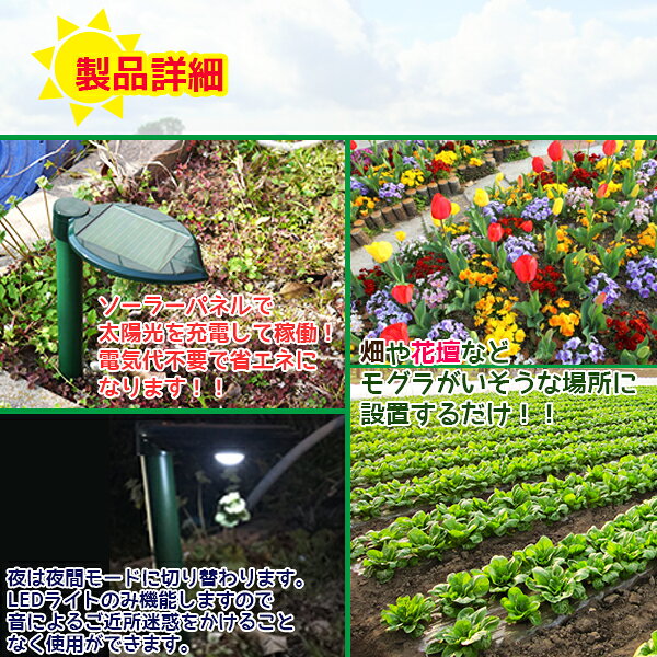 ★最大2,000円OFFクーポン発行中 〜9/11 1:59まで★ ソーラー式 モグラ撃退器 2個セット 撃退機 害獣駆除 モグラ駆除 モグラ対策 電源不要 音波振動 害獣対策器 【送料無料】 ###撃退器GH-201★###