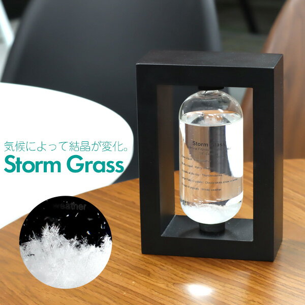 ストームグラス Storm glass 雑貨 インテリア ガラス テンポ 晴雨予報グラス 結晶 天気 置物 オブジェ 飾り【送料無料】###気象計BAW11007###