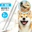 歯石取り ゼオライト 4点セット 40cc ペット用 犬用 犬 歯 黄ばみ 汚れ 歯石 除去 歯磨き粉 歯周病 歯磨き 歯みがき はみがき ハブラシ 歯ブラシ ...