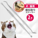 歯石取り ゼオライト 4点セット 40cc ペット用 犬用 犬 歯 黄ばみ 汚れ 歯石 除去 歯磨き粉 歯周病 歯磨き 歯みがき はみがき ハブラシ 歯ブラシ ...