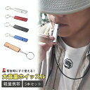 ホイッスル 笛 5個セット 防災 ホイッスル 笛 体育 防犯グッズ 災害用ホイッスル 防災ホイッスル 大音量 審判 緊急ホイッスル ライフガード 防災笛 災害 ...