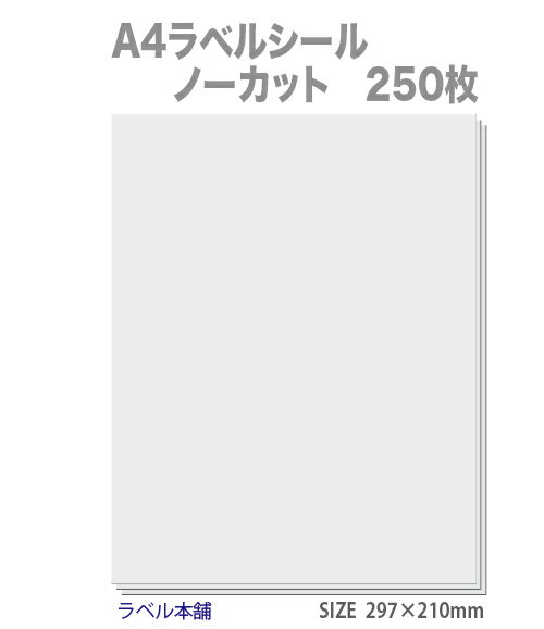 A4 ラベルシール ノーカット 白無地