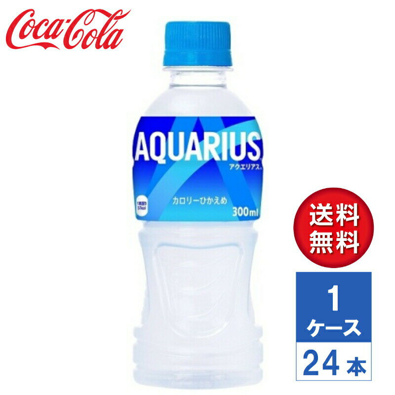 y[J[zANGAX 300ml PET 1P[X(24{)yz