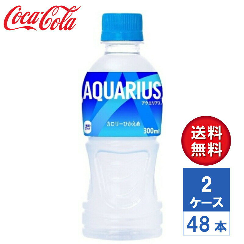 y[J[zANGAX 300ml PET 2P[X(48{)yz