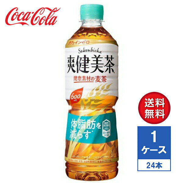 y[J[zu Nfނ̔ 600ml PET 1P[X(24{)yz