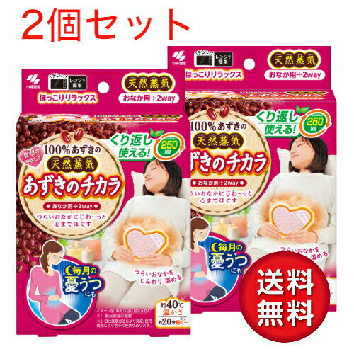 【2023年8月リニューアル】【小林製薬】あずきのチカラ おなか用 1個入×2点セット【4901548604032】【お腹用温熱パット】【送料無料】のサムネイル
