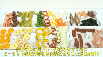 食品乾燥機ドライフルーツメーカードラミニ