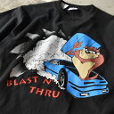 90's@Looney Tunes/[j[Ee[Y hNASCARh TAZ Tee@USA@220704