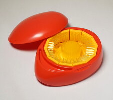 デンチャーブラシ