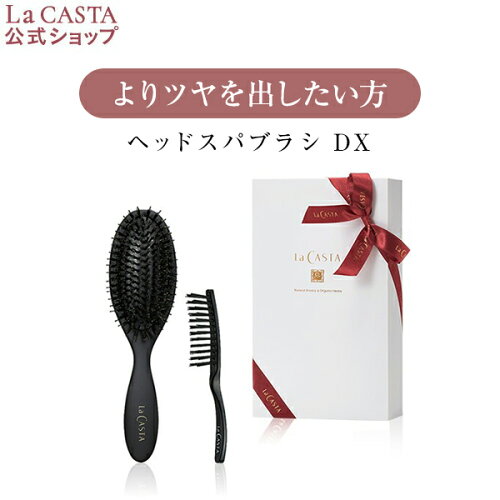 ラカスタ LaCASTA ラ カスタ ブラシ ヘアブラシ ヘアーブラシ リフト...