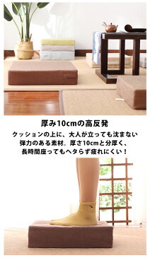 高反発 クッション 座布団 フロアクッション 厚いクッション 硬い クッション 10cm 10センチ 厚い 椅子 高さ調整 高反発クッション 大きい 大きめ 洗える 50cm 分厚い かわいい おしゃれ 背もたれ 座椅子 インテリア 北欧 雑貨 ペットベッド 犬 猫 角型 fab14 【P】