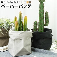 ペーパーバッグ 収納 ペーパーバッグ おしゃれ 北欧 ペーパーバッグ 小物入れ 鉢カバー 観葉植物 フェイクグリーン グリーン 鉢 カバー 紙 インテリア ベージュ グレー グレージュ トープ フラワーベース バスケット キッチン キッチン収納 小物 濡れても丈夫 int-33【P】