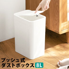 ■□ プッシュ式 ダストボックス ゴミ箱 8L ゴミ袋 隠せる ビニール袋 袋 見えない 北欧 分別 分別ゴミ箱 リビング シンプル キッチン オフィス 祝い ふた 付き コンパクト ギフト プッシュダストボックス int-041【P】 [□]