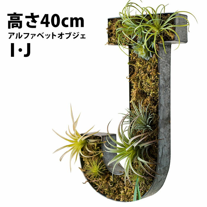 植木鉢 おしゃれ 大型 ガーデニング アルファベット オブジェ 大きい アルファベット 雑貨 インテリア 北欧 おしゃれ 室内 植木鉢 多肉植物 鉢 寄せ植え プランター 大型 壁掛け ブリキ プランター ブリキポット 置物 ハンギングプランター アンティーク 錆 int-55【P】[□]のサムネイル