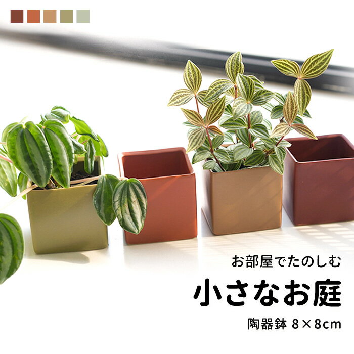 陶器 鉢カバー おしゃれ 観葉植物 ミニ 小さい 小さめ 陶器鉢 植木鉢 卓上 プランター 穴なし 角 四角 キューブ 8cm ポットカバー 屋内 室内 インテリア 雑貨 北欧 韓国 和風 花器 和室 シンプ…