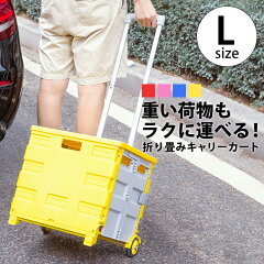 https://thumbnail.image.rakuten.co.jp/@0_mall/lacerise/cabinet/otd/otd-012-01.jpg